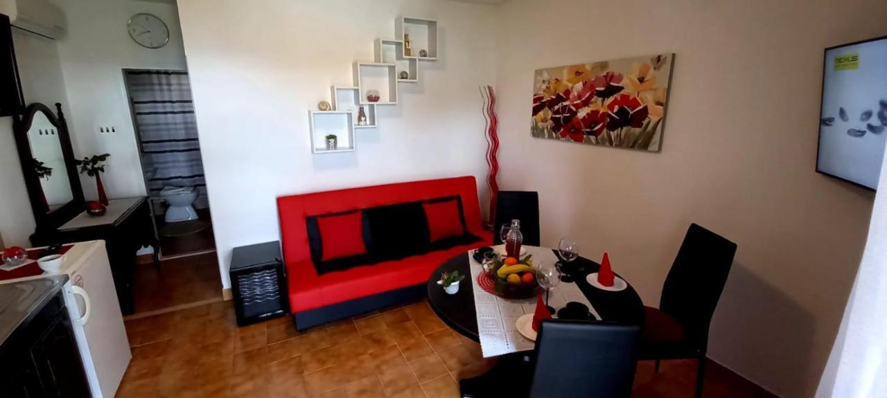 Apartment Oasis *