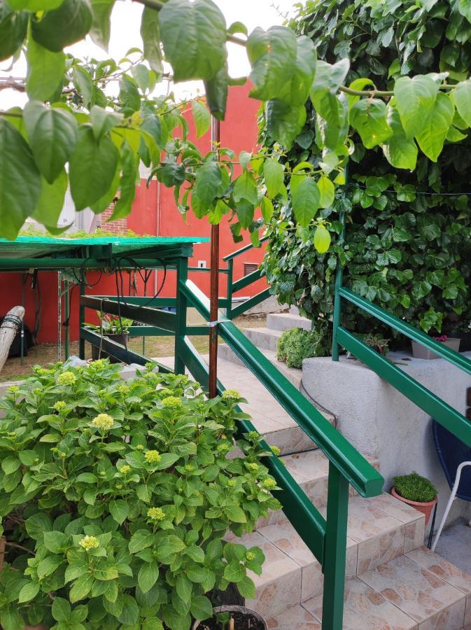 Oasis Apartment *
